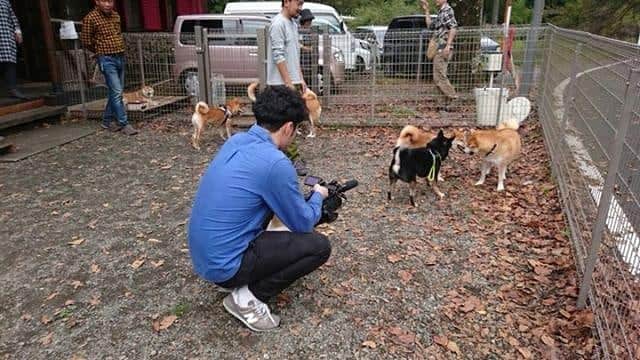 ハナとソラさんのインスタグラム写真 - (ハナとソラInstagram)「明日10月13日放送の ｢天才志村どうぶつ園｣ 速報！どうぶつニュースのコーナーで  滋賀県にある日本犬専用ドッグランのTAROSAKUさんが紹介されるそうです😀  ぜひぜひチェックしてみてください🤗 *️⃣放送時間は短いかもしれませんので、 注意して見てくださいね。  #柴犬 #tarosaku #ドッグランtarosaku #志村どうぶつ園 #天才志村どうぶつ園」10月12日 19時49分 - nsdikm_hanasora