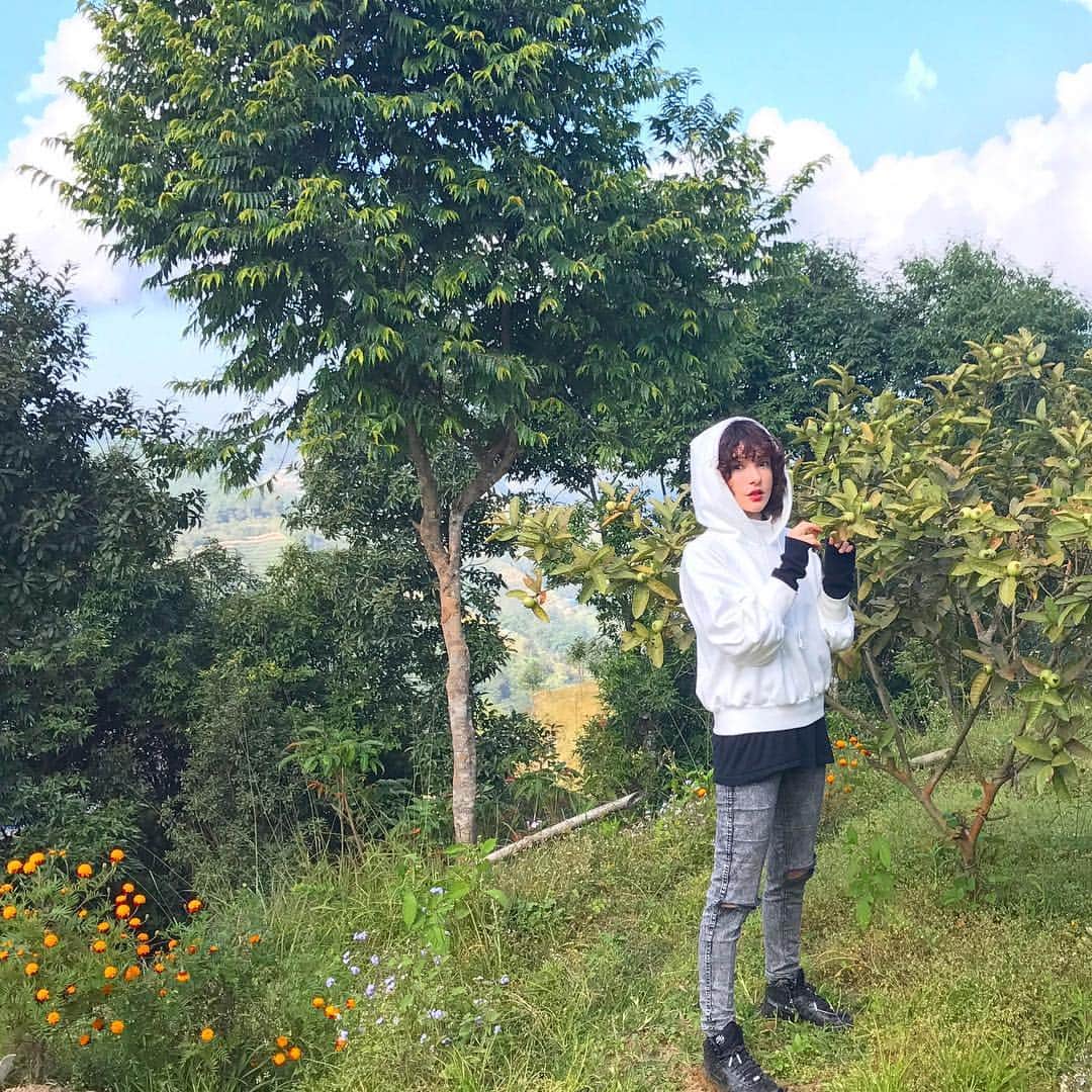 のインスタグラム：「旅Pocketでチベット仏教寺院ネイドーモネストリーとナガルコットの丘に滞在したネパール旅行のインタビュー記事が公開中です。 https://www.tabikobo.com/tabi-pocket/special/noma 最後には思わぬ珍道中も…🤭 thank you tabikobo💚  #tabikobo #旅pocket #travelinterview  #nomatrip #nepal #travel #旅」