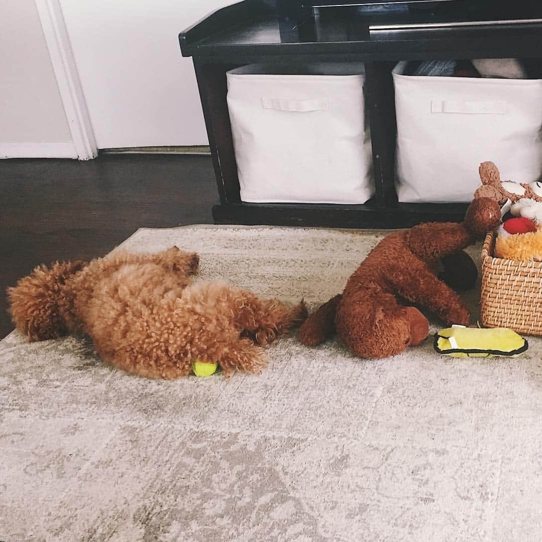 Loganのインスタグラム：「Work hard, play harder. Let’s start the weekend right fam 💪」