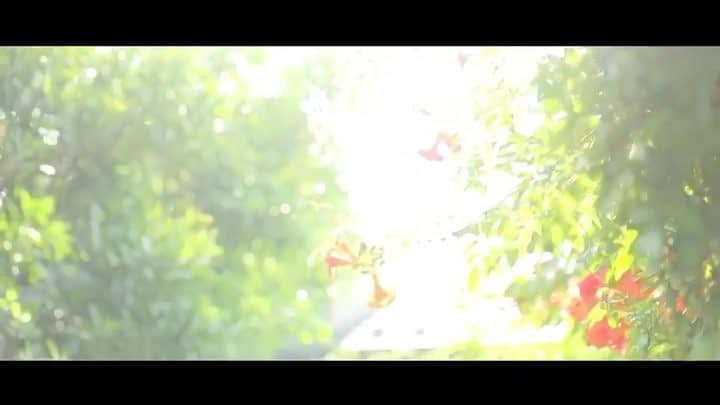 ラクラリエールのグルメインスタ