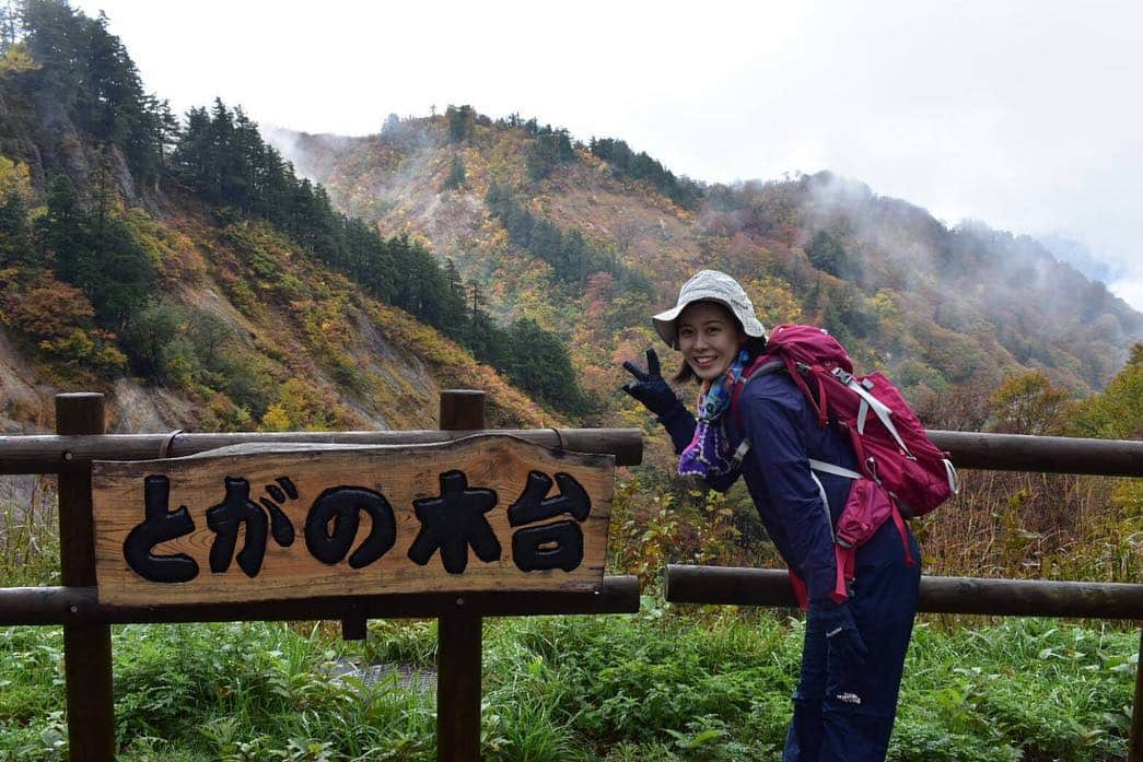 加藤愛のインスタグラム