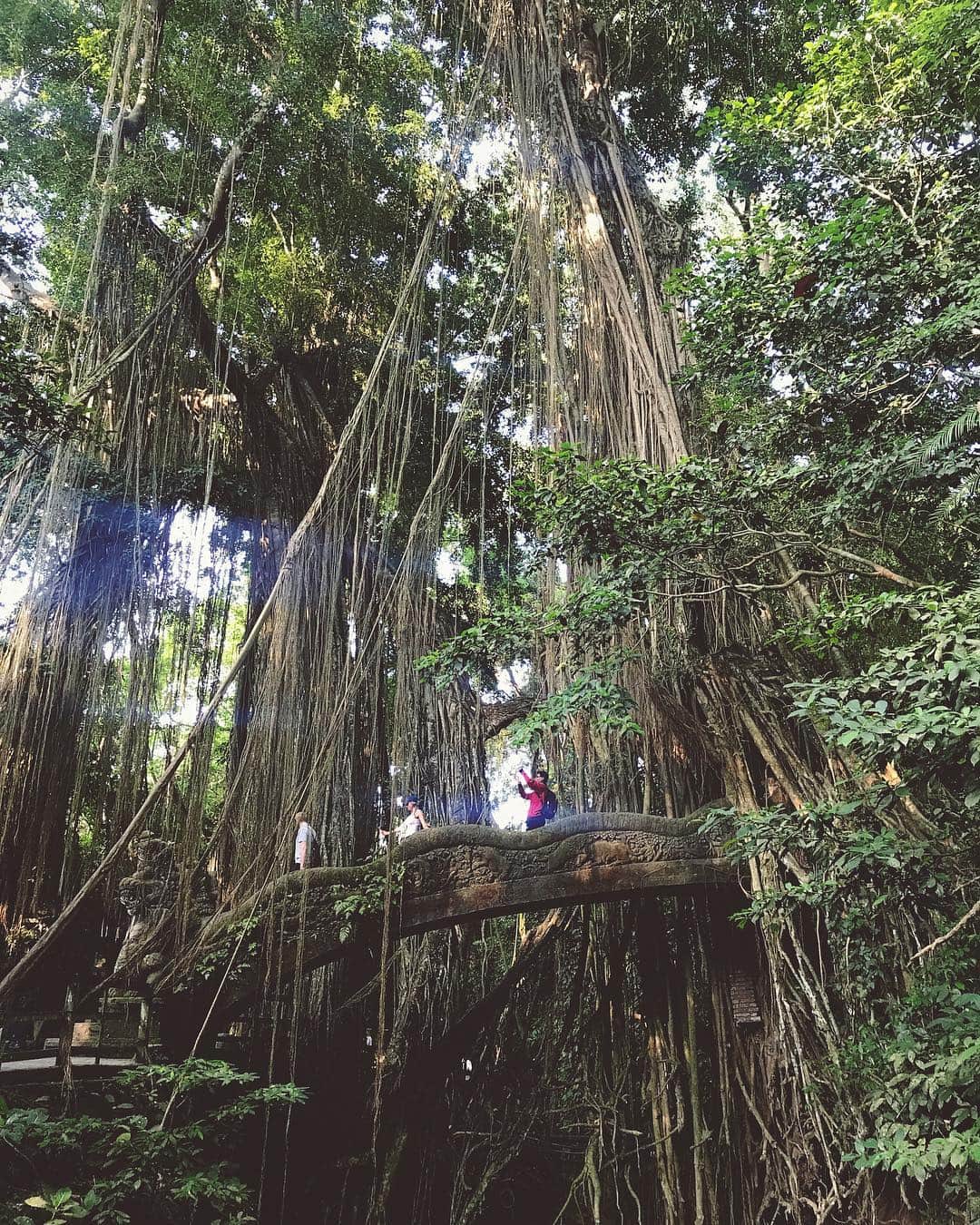 クロエさんのインスタグラム写真 - (クロエInstagram)「Bali旅行、初日はUbud🌿🌤 with @harukakuriyama  バタバタだったけど、ゆっくりプールにも入れて、ウブドマーケットでお買い物して、モンキーフォレストにも行けました🐒 お猿さんはいるのはもちろん、自然がすごすぎてむしろそっちの方が楽しかった！おすすめです❤︎ 見せたい写真が沢山なのでごちゃごちゃだけどいっぱい載せたので見てね〜 ウブドは短いけど今日まで。 自然いっぱいで、美しくて、最高の街でした❤︎ #monkeyforest #ubudmarket #ubud #Bali #ウブドマーケット #モンキーフォレスト #ウブド #アラヤウブド」10月13日 21時59分 - ch__l__oe