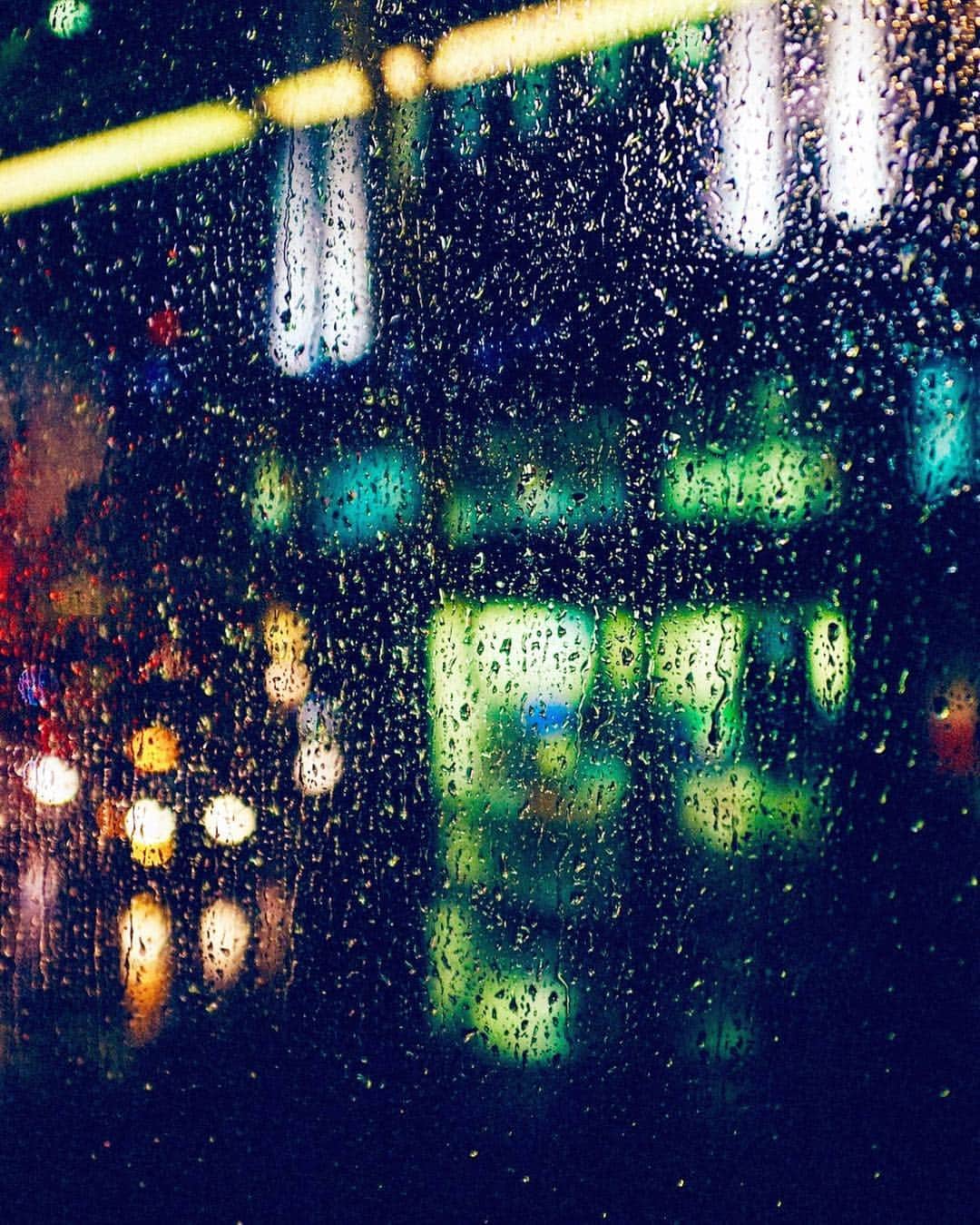 小浪次郎さんのインスタグラム写真 - (小浪次郎Instagram)「When the season changes. NYは雨 8℃」10月13日 22時07分 - jirokonami