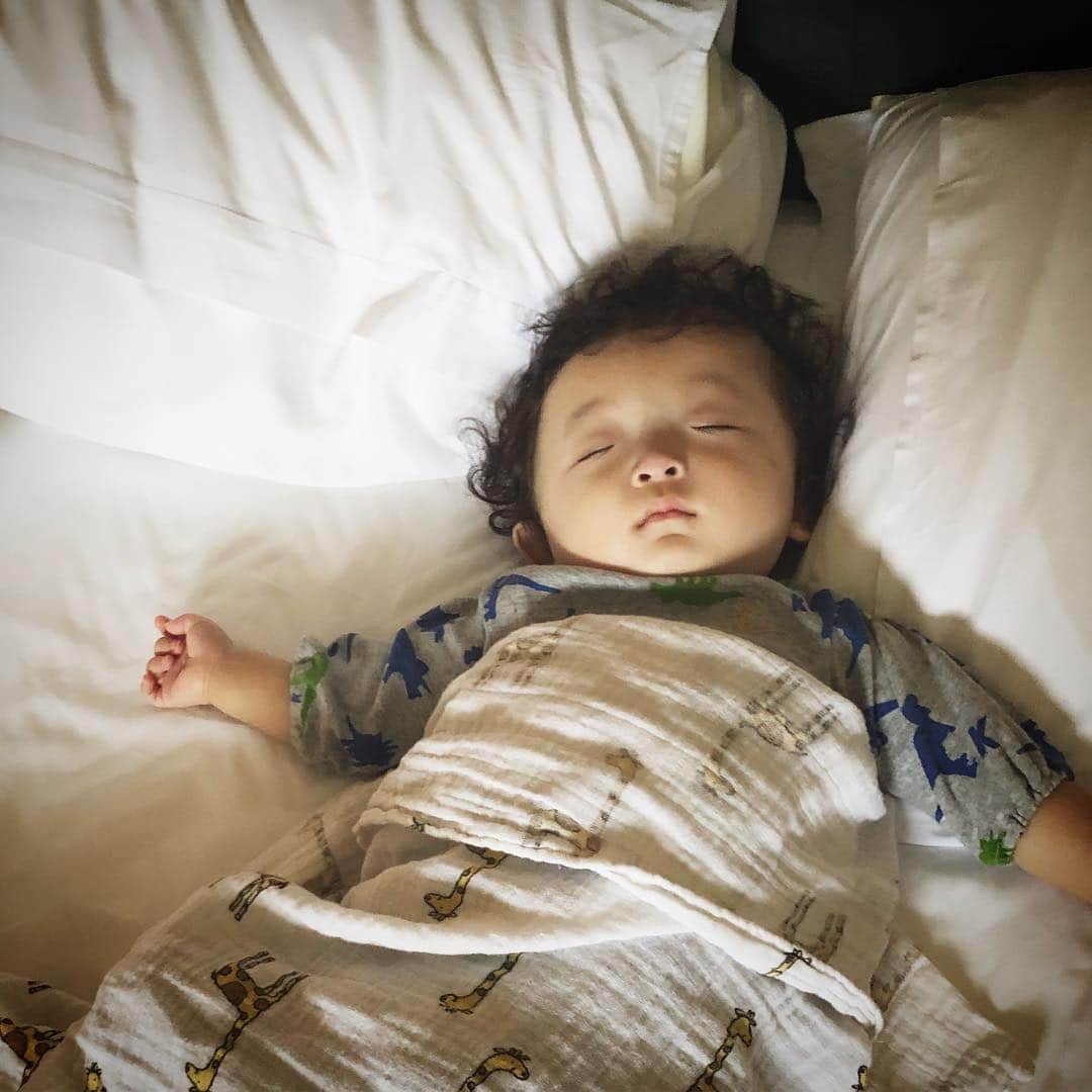のインスタグラム：「おやすみなさい、良い夢を。 #陽喜」