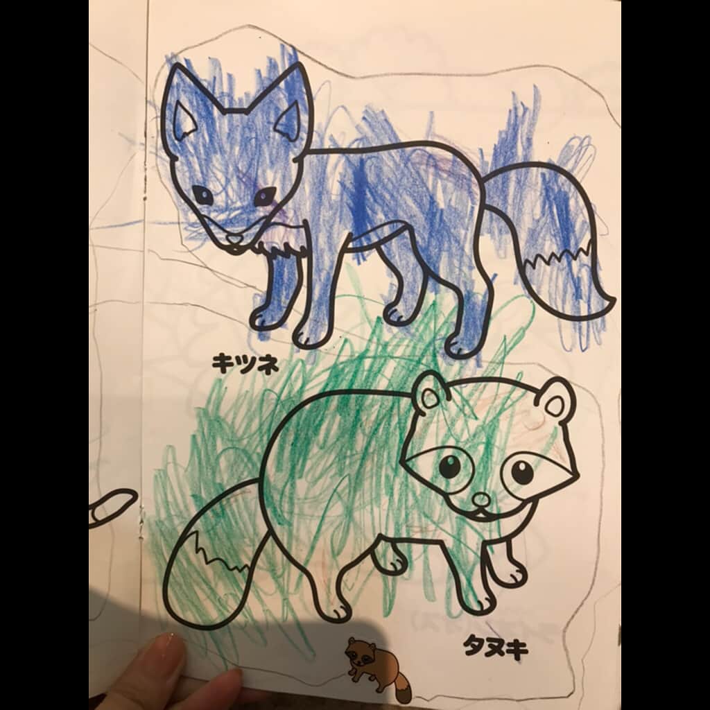 吉田羊さんのインスタグラム写真 - (吉田羊Instagram)「知人の娘ちゃん（2歳8ヶ月）が 塗り絵をしようと持ってきた。 どれどれと見せてもらうと 色々とツッコミどころ満載。 「丸を書けることが嬉しいみたいで」 とお母さん。 確かに、各動物に謎の縁取り。 キツネは青く、タヌキは緑。 ジャガーは『なんで緑じゃがー！』と怒っている。 ダチョウに至っては黒い顔。 彼女には動物たちがこう見えるのか？ 「心の闇が見えますよねぇ」と笑うお母さんの横で 「くろとあおがしゅき」と娘ちゃん。 なるほど。しかし 顔のパーツが見えないほどに黒く塗りつぶされた 羊を見たらちょっと涙が出た笑 そして 青いキツネと緑のタヌキって もはやインスタント麺ね。 子供の感性は無限大。 #正しくは赤いきつね #羊もくろとあおしゅきよ」10月15日 11時00分 - yoshidayoh_official