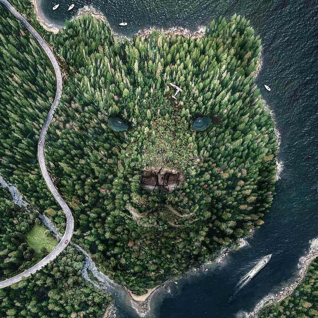 Bearsのインスタグラム：「Bear Island 🐻 🏝」