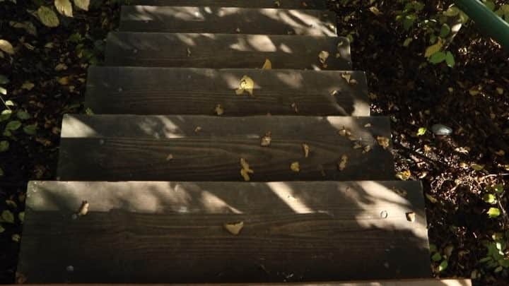 はねゆりのインスタグラム：「Light feather film part.6﻿ ﻿ 🎶"Newborn Immortavs"by Jovon Miller(Prod.By T4PES)﻿@monsieurjovoni ﻿ #1minutefilm﻿ #lightfeatherfilm﻿ #thebestofnow﻿ #lifestyle﻿ #canada﻿ #bc﻿ #victria」