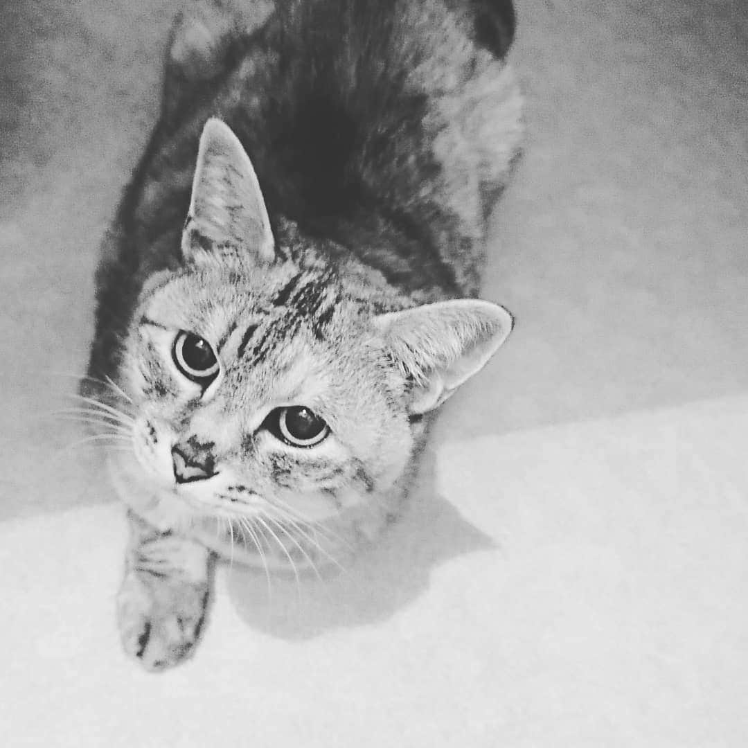 のインスタグラム