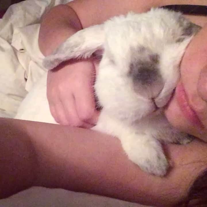Exempel the bunnyのインスタグラム：「I’ve never shown this particular video before, but this truly shows how affectionate and amazing Exempel was. He always wanted to be close and I don’t know how many times we fell asleep in my bed together. I’m not in the mood for the longest caption today either, you all know how much I miss him and you all know that he was the best.」