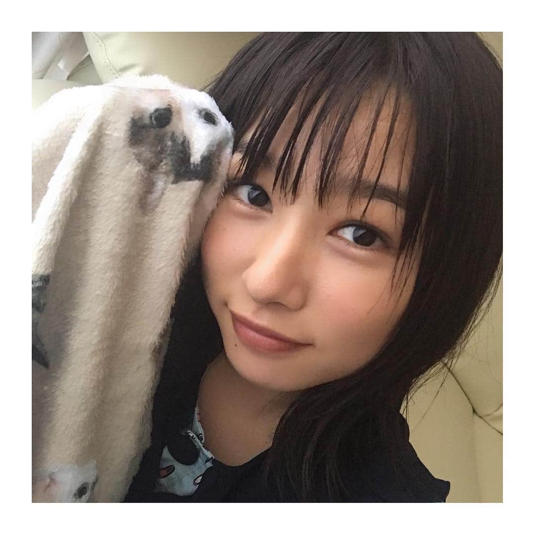桜井日奈子さんのインスタグラム写真 - (桜井日奈子Instagram)「今夜21:00 NHK 総合『LIFE！〜人生に捧げるコント〜』の5ミニッツというコーナーで、 前回やらせていただいた、 コント「イタヤガイ」が放送されます！🙋 それは21:45〜です！  前回見逃したよって方はぜひ！  今日お家にいるよって方も、ぜひ🙏  写真は、実家で飼っている、猫のミルとココ。  膝掛けとスリッパ作ってもらいました😻  愛用中です。」9月22日 17時57分 - sakurai.hinako_official