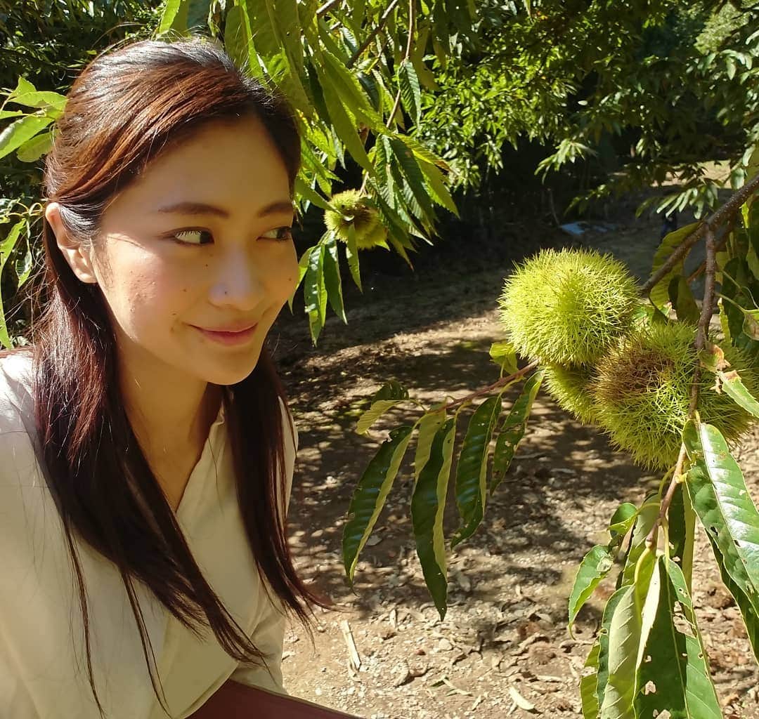 山田彩乃のグルメインスタ