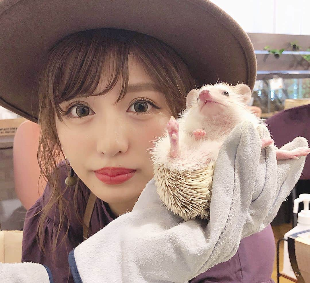 伊藤実祐さんのインスタグラム写真 - (伊藤実祐Instagram)「. スワイプ ▷😊▷😳▷🤨 的な💓w . . 🦔 🦔 🦔 🦔 🦔 🦔 🦔 🦔 🦔 🦔 🦔💨 . 念願のハリネズミくん ♥︎♡ . みゆはビビって素手では触れ合えなかった（笑） . この僕、めちゃくちゃ暴れん坊で😂♥️ . 伊藤実祐に、このハリネズミくん . . . ありやな。ありすぎる。やっぱりでしかない🤪🤟🏼 #暴れん坊 . . 何より1番びっくりしたのが、 思ってたより3倍デカい❗️あれww . . めちゃくちゃ癒されました。💓 動物のチカラってすごいわ。🐶🐯🐷🐰🦁 . . #ハリネズミ #ハリネズミカフェ #ハリネズミのいる暮らし #モデル #TOKYOcreatist #伊藤実祐 #いとうみゆ #みゆちゃい . . この時のお洋服詳細もアップするね\(◡̈)/ .」9月23日 20時39分 - miyu.61