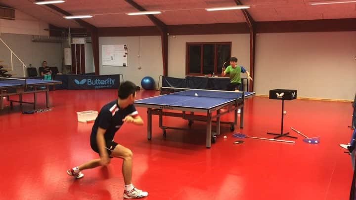 リン・グイのインスタグラム：「Guess who won this point? 😜 @ericjouti  #tabletennis #tenisdemesa #practice #slagelse #denmark🇩🇰 #brasileirosnaeuropa #joolausa #joolabrasil #cbtm #timebrasil #treinonodomingo #🐰💪🏻」