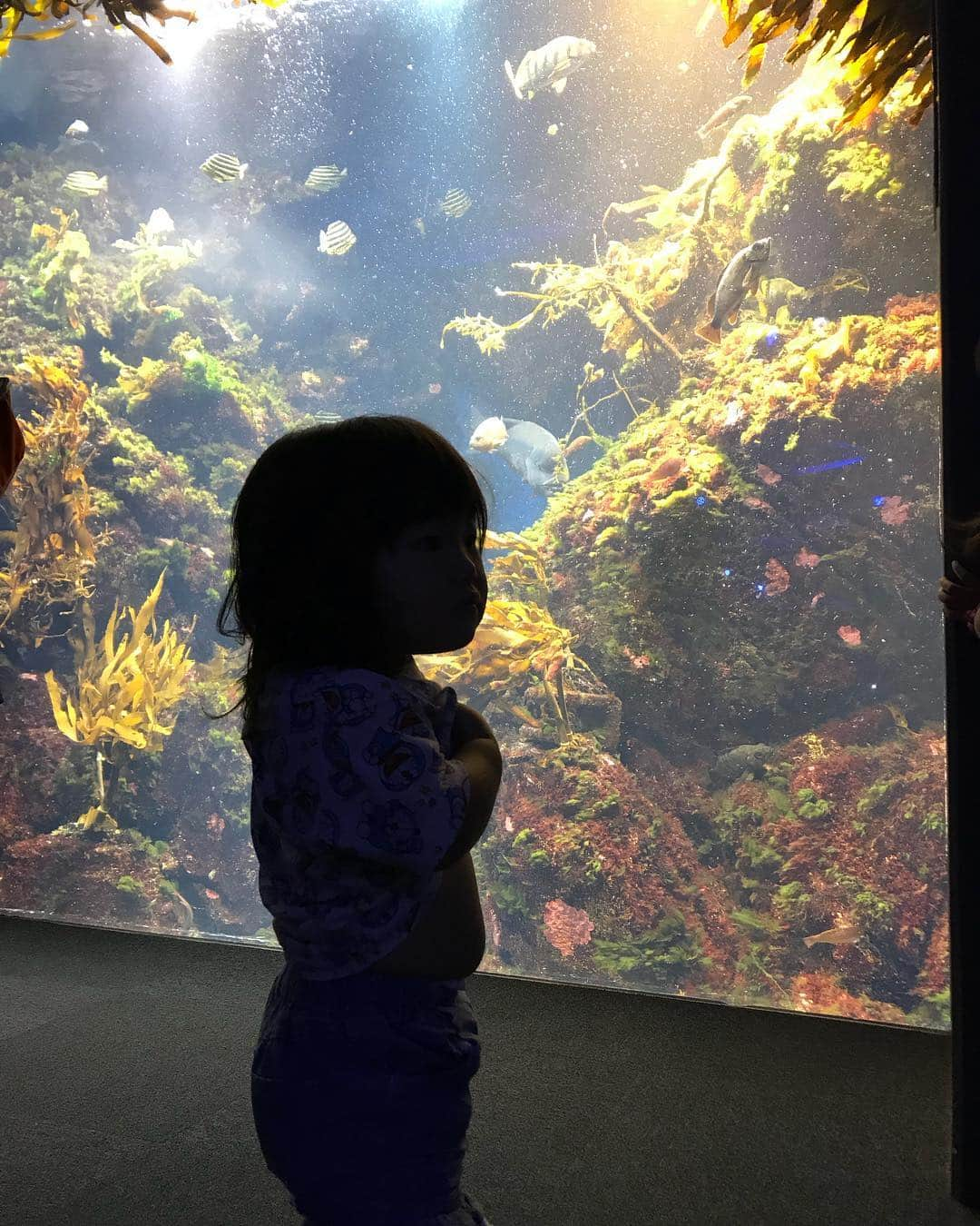 大友愛さんのインスタグラム写真 - (大友愛Instagram)「昨日は江ノ島水族館へ🐬🐠🐧 シルエット愛心♥️ @kikosayoko  キコとこーして、子供連れてお出かけする日が😍 それだけで大満足ッ  次はどこへ行こうかなッ💕💕💕 楽しかったッ  @shin_life0617  #秋本family #江ノ島水族館 #親子遠足」9月24日 7時39分 - ai_dayooon