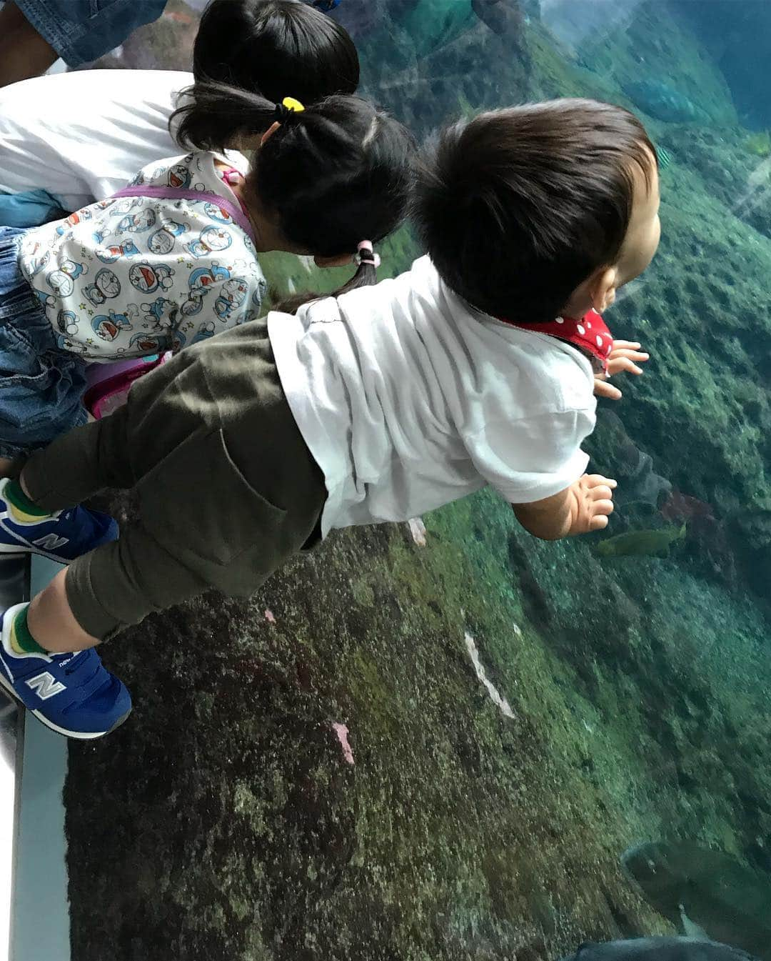 大友愛さんのインスタグラム写真 - (大友愛Instagram)「昨日は江ノ島水族館へ🐬🐠🐧 シルエット愛心♥️ @kikosayoko  キコとこーして、子供連れてお出かけする日が😍 それだけで大満足ッ  次はどこへ行こうかなッ💕💕💕 楽しかったッ  @shin_life0617  #秋本family #江ノ島水族館 #親子遠足」9月24日 7時39分 - ai_dayooon