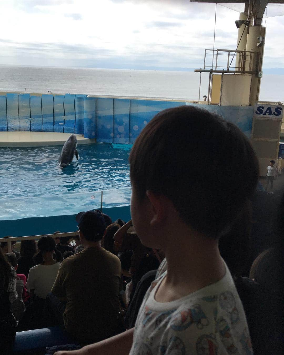 大友愛さんのインスタグラム写真 - (大友愛Instagram)「昨日は江ノ島水族館へ🐬🐠🐧 シルエット愛心♥️ @kikosayoko  キコとこーして、子供連れてお出かけする日が😍 それだけで大満足ッ  次はどこへ行こうかなッ💕💕💕 楽しかったッ  @shin_life0617  #秋本family #江ノ島水族館 #親子遠足」9月24日 7時39分 - ai_dayooon