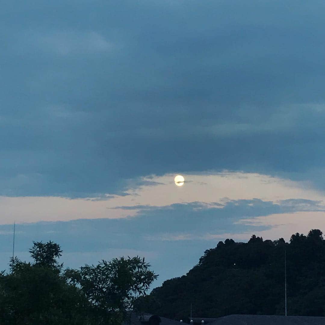 坂本美雨のグルメインスタ