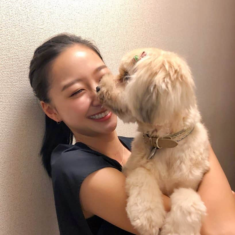 畠山愛理さんのインスタグラム写真 - (畠山愛理Instagram)「久しぶりのシェリちゃん☺️🐾 #愛犬 #シェリちゃん #もふもふ #もふもふ犬 #保護犬 #アルマ #ミックス犬」9月24日 19時38分 - airihatakeyama