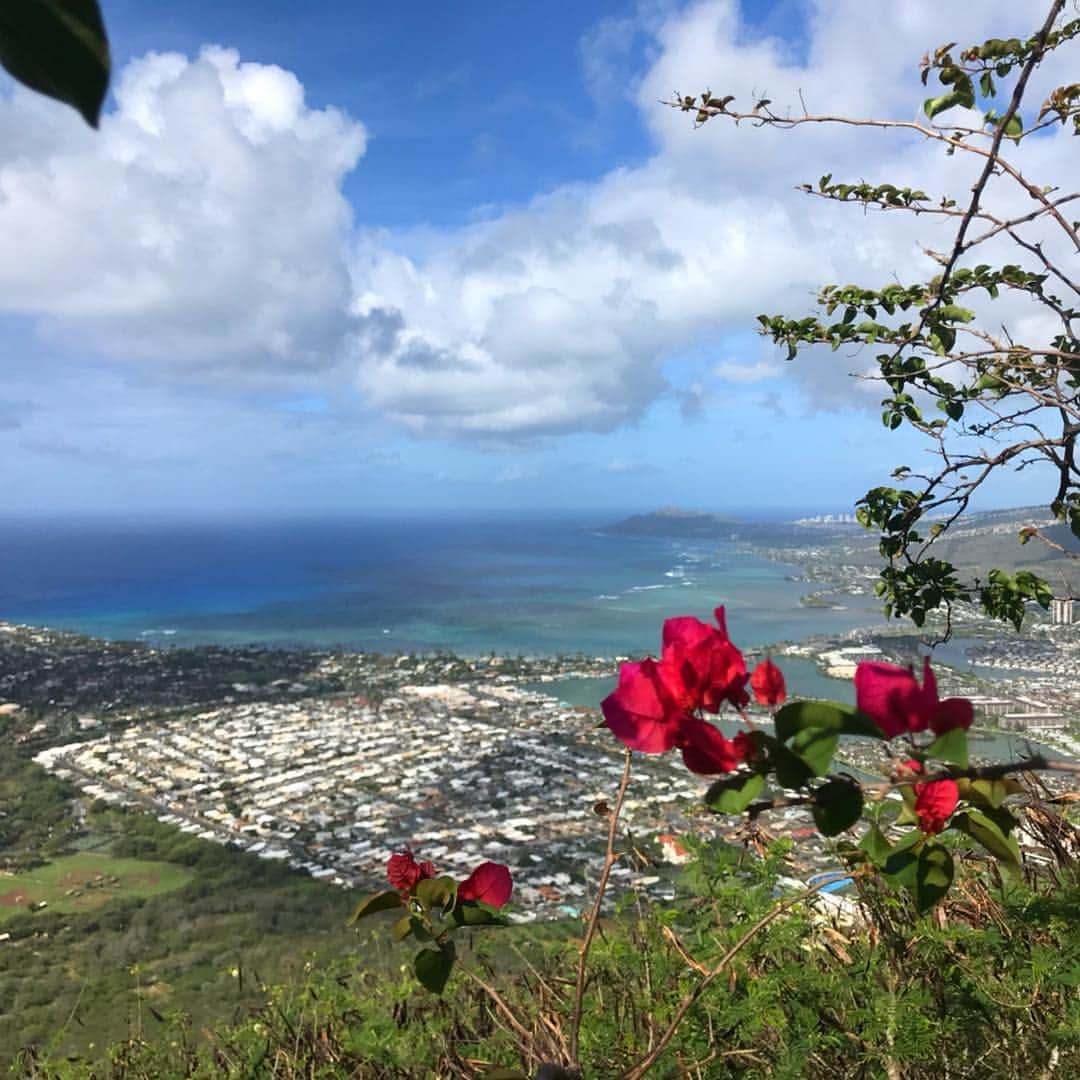 のインスタグラム：「🌈😎🌺🏝 #hawaii#waikiki#kokohead#manoafalls」