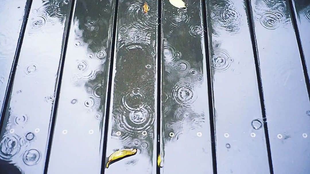 Naokoのインスタグラム：「rainy day..☔︎ * 今日は一日雨。お家でのんびり過ごしながらカメラで遊ぶ。昔スイスで買ったオルゴールを久しぶりに娘に聴かせたら目をパチパチさせて喜んでました。そして止めたら駄々っ子に笑。私が小さい頃もこれが大好きだったなぁ。最近はいいアプリも沢山あって片手でもサクサク動画編集できて嬉しい✨」