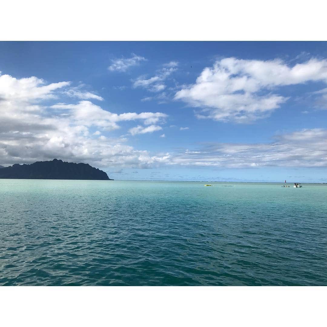おまめ（Miki）さんのインスタグラム写真 - (おまめ（Miki）Instagram)「. . 母と二人旅👩‍👧 in Hawaii♡ . . 会いたかったウミガメに会えて 欲しかった御朱印帳もお揃いでｇｅｔ🌺 . 美味しいものいっぱい食べて 海で遊んで、お買い物もして毎日幸せだった〜！ . また絶対一緒に行こうね〜って約束した🤙 . . . #ハワイ旅行 #仲良し親子  #お母さんも買う〜 ♡ が口癖の母 #お揃いの物増えた 🌴 #母のカメラの腕上がる #娘より元気な母 #一人でサップしてた時はさすがに笑った」9月25日 19時38分 - mamexx19