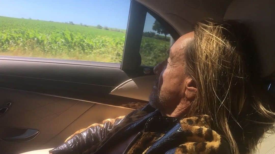 のインスタグラム：「“Iggy Pop is from my hometown. Think I might be star bound. Golden boy, but I’ve never seen him ‘round. Too antisocial, not the one you get close to...” Song “Iggy Pop” by Paris Williams @dropdeadparis and TyFaizon @killtyfaizon  #iggypop #biggypop #moluccan #cockatoo #threelittlebirds #bobmarleyandthewailers #Bells&Circles #Underworld #SunlightOnMyWings #Birds #GetItTogether」
