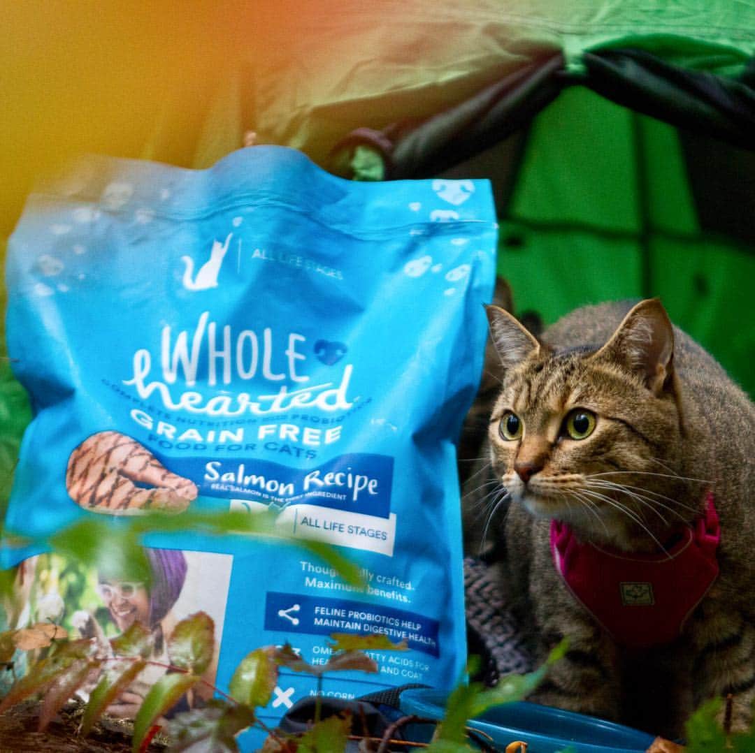 Bolt and Keelのインスタグラム：「Fueling Bolt and Keel for their adventures is important to us and finding a food that is affordable and provides ultimate health is even better! For all of you Canadian adventurers like us, @wholeheartedpets pet food is now available in Canada, exclusively @canadiantire. While out on trip, Bolt and Keel need as much energy as they can get, as our adventures often have them exploring for long hours and in all kinds of weather.  Thanks to #WholeHeartedPets for supporting our adventures and for ensuring Bolt and Keel are as healthy as can be! #ad」