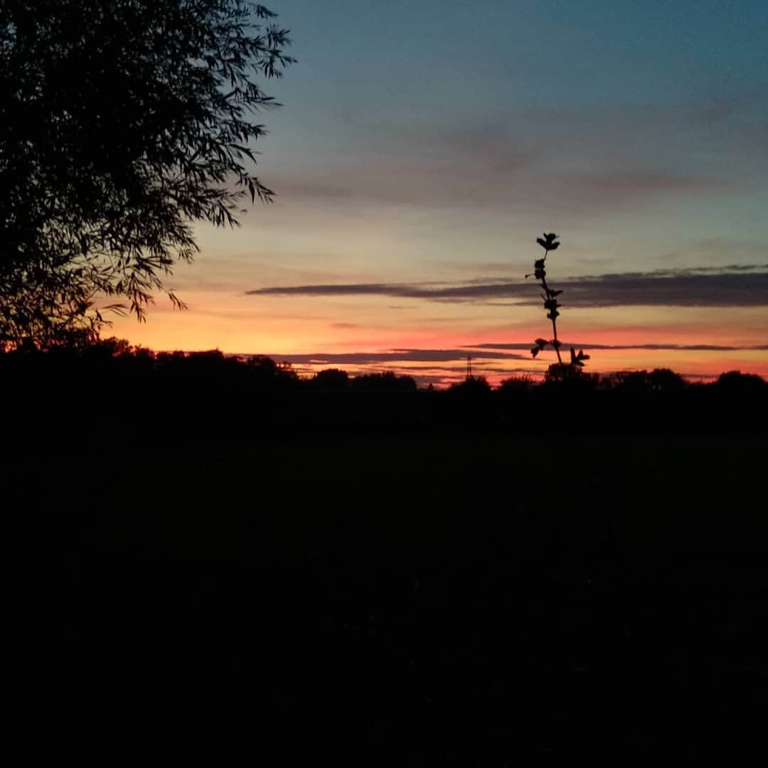 バスさんのインスタグラム写真 - (バスInstagram)「The Leicestershire sky looking like an artists palette tonight. Very pretty.  #Leicestershire #BeautifulSky #WhenTheSunGoesDown #sunset #photooftheday #fullofcolours🎨」9月26日 6時50分 - basheemskerk_89