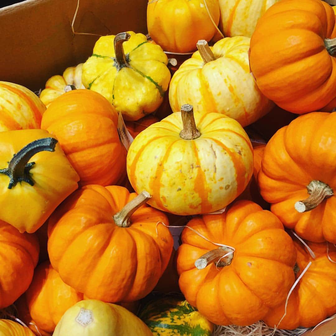 清水あすかさんのインスタグラム写真 - (清水あすかInstagram)「#秋 #autumn  #かぼちゃ #pumpkin  また秋見つけた！\(//∇//)\」9月26日 17時07分 - asukahime1015