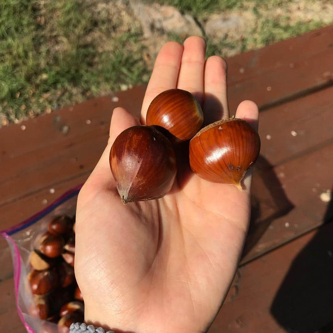 ナム・ジヒョンさんのインスタグラム写真 - (ナム・ジヒョンInstagram)「가을밤밤🌰🌰🌼🌼」9月26日 18時04分 - hyuniiiiiii_95917