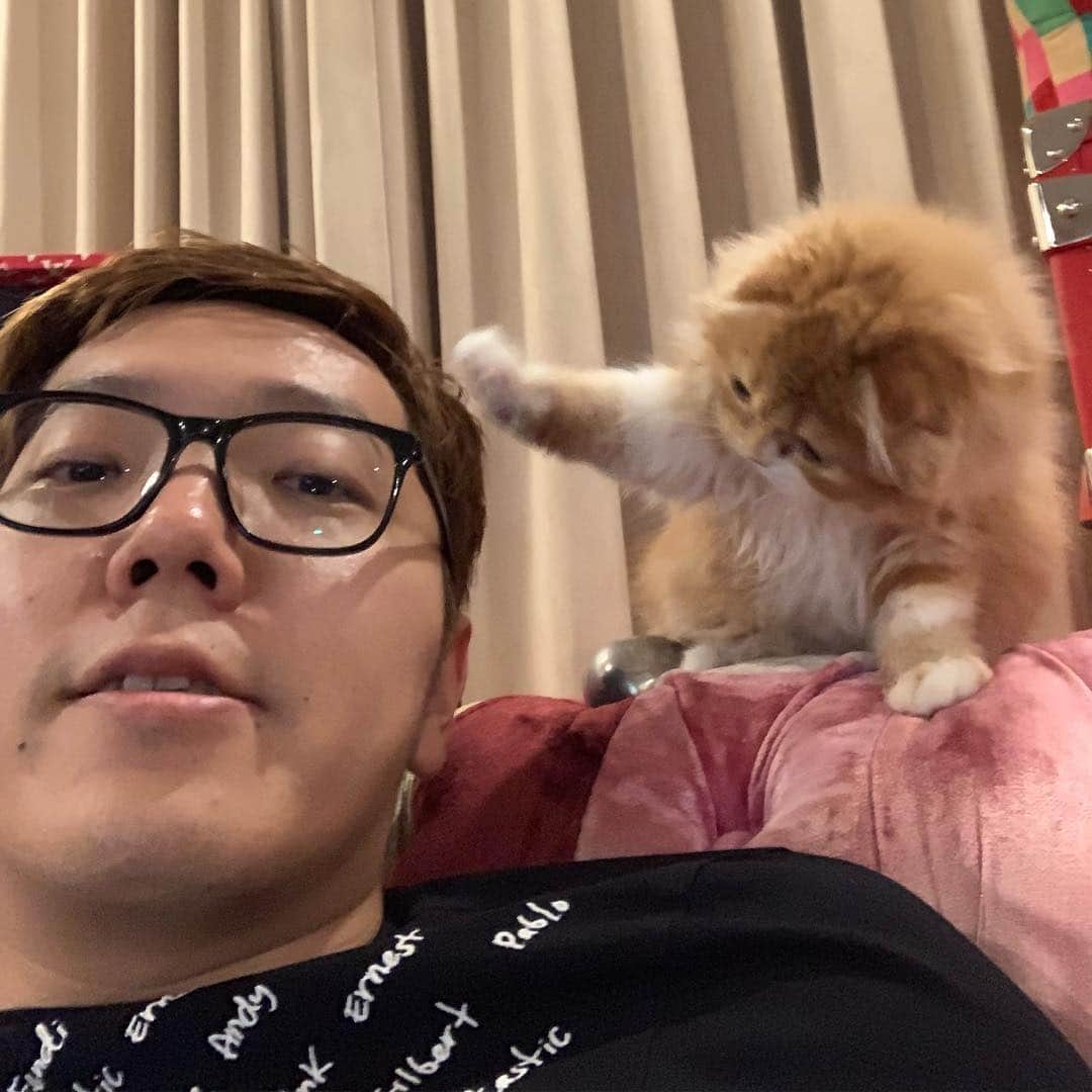 HIKAKINのインスタグラム：「もふこパンチをくらいましたわ（笑）」