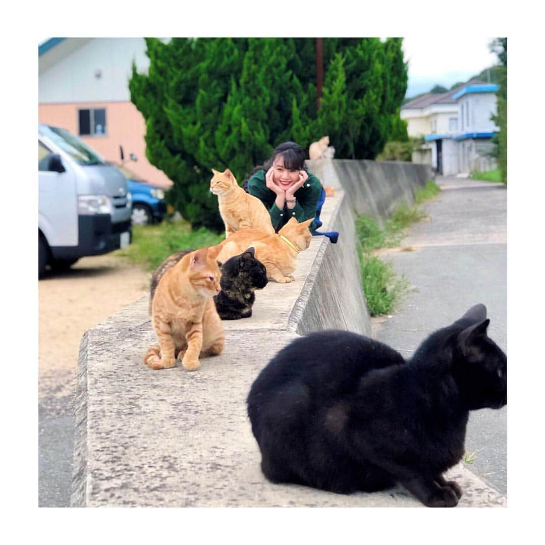 知花くららさんのインスタグラム写真 - (知花くららInstagram)「🐾🐾🐾猫の島🐾🐾🐾・ ・ #豊島 #島旅 #なごみせとうちロケ中 #猫 #猫がいっぱい #cats  #とにかく猫が #いっぱい寝てた #瀬戸内 #海 #japan #trip #setouchi #teshima」9月27日 15時34分 - chibanakurara.official