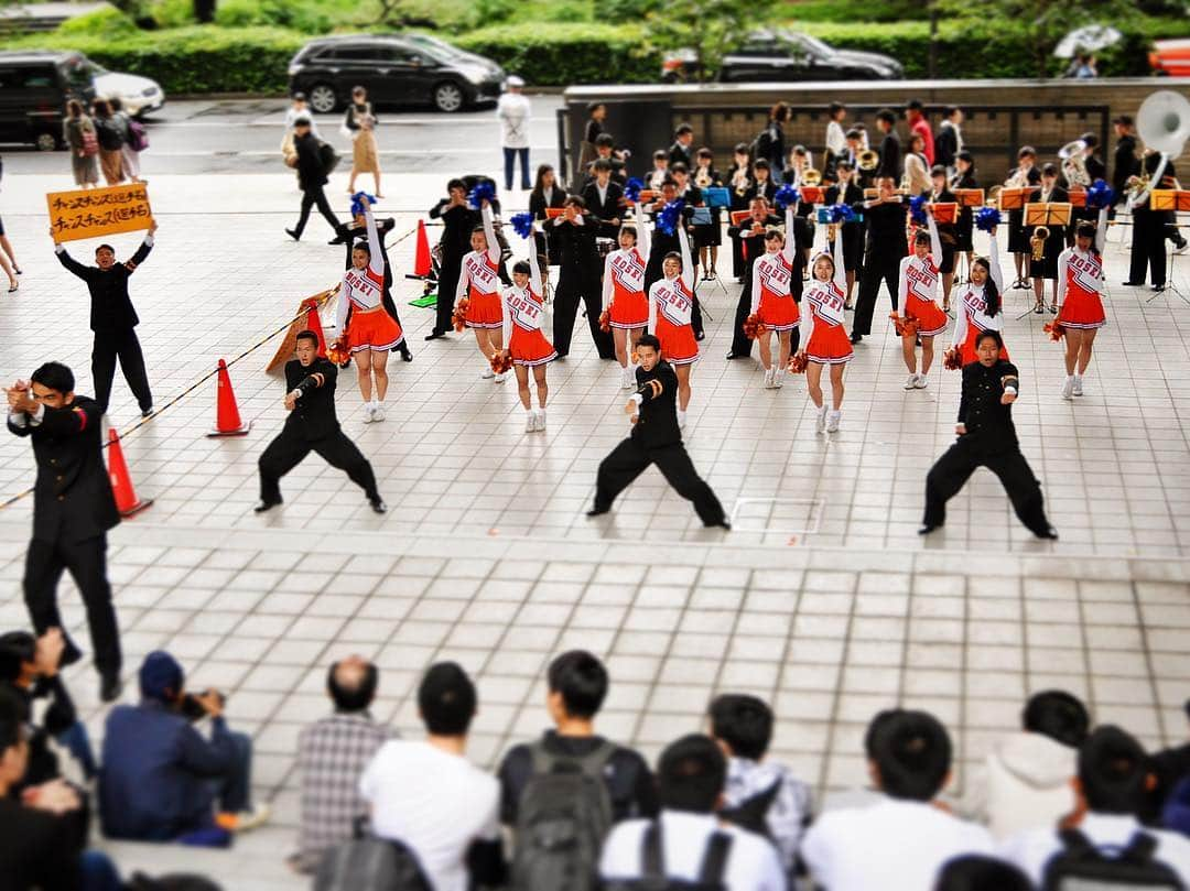 法政大学のインスタグラム