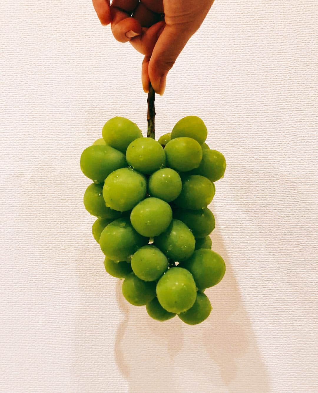 今田美桜さんのインスタグラム写真 - (今田美桜Instagram)「幸せな季節です🍇 * このあと19時から 笑神様は突然に、、、です☺︎ みてね！」9月27日 18時56分 - imada_mio