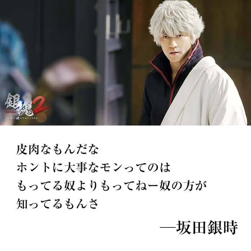 映画『銀魂』のインスタグラム：「皮肉なもんだな﻿ ホントに大事なモンってのは﻿ もってる奴よりもってねー奴の方が﻿ 知ってるもんさ﻿ ﻿ ー坂田銀時﻿ ﻿ #銀魂2✌️﻿ #名言﻿ ﻿  #銀魂 #gintama #小栗旬 #菅田将暉 #橋本環奈 #中村勘九郎 #柳楽優弥 #吉沢亮 #三浦春馬 #窪田正孝 #長澤まさみ #岡田将生 #勝地涼 #夏菜 #ムロツヨシ #キムラ緑子 #佐藤二郎 #堂本剛 #堤真一 #福田雄一 #backnumber」