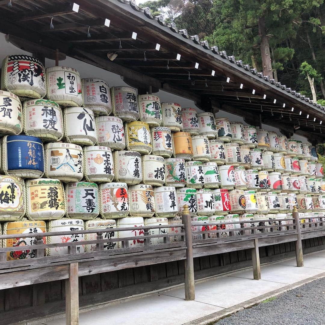 義村萌さんのインスタグラム写真 - (義村萌Instagram)「. 嵐山と清水寺に行ってきた . 京都の風情あふれる街並みと漬物は大好きです♡ 両方満喫できて楽しかった〜！ あとたくさん縁結びしといた。笑 しほさんまた遊ぼうね♡ . ほんとはもっと写真もあるけどお気に入りだけ ほんとにカメラほしい… . #京都旅行 #嵐山 #清水寺 #着物 #常寂光寺」9月28日 13時18分 - moe.yoshimura