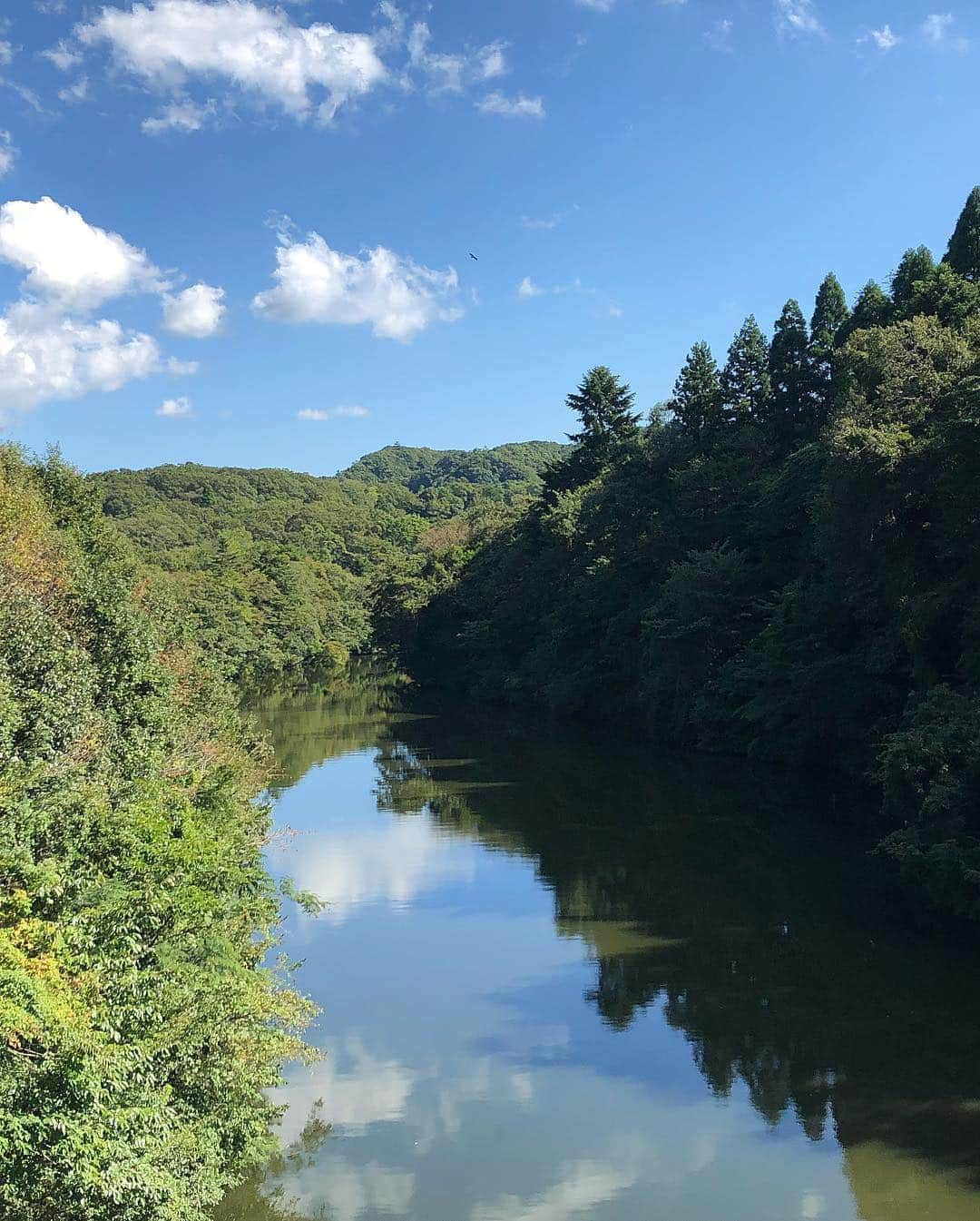 加賀美早紀さんのインスタグラム写真 - (加賀美早紀Instagram)「良い景色だったのでパチリ🤳 長距離移動だったから ラクなコーデ😊 * * #千葉 #加賀美早紀 #姉ageha」9月29日 3時23分 - kagami_saki