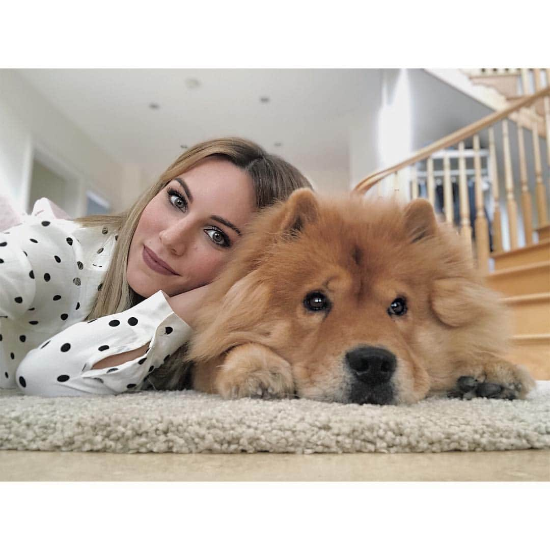 エドゥルネさんのインスタグラム写真 - (エドゥルネInstagram)「M y  F l u f f y 🦁🧡 #MiPeluche #Matxo #AmorPerruno #ChowChow」9月30日 1時46分 - edurnity