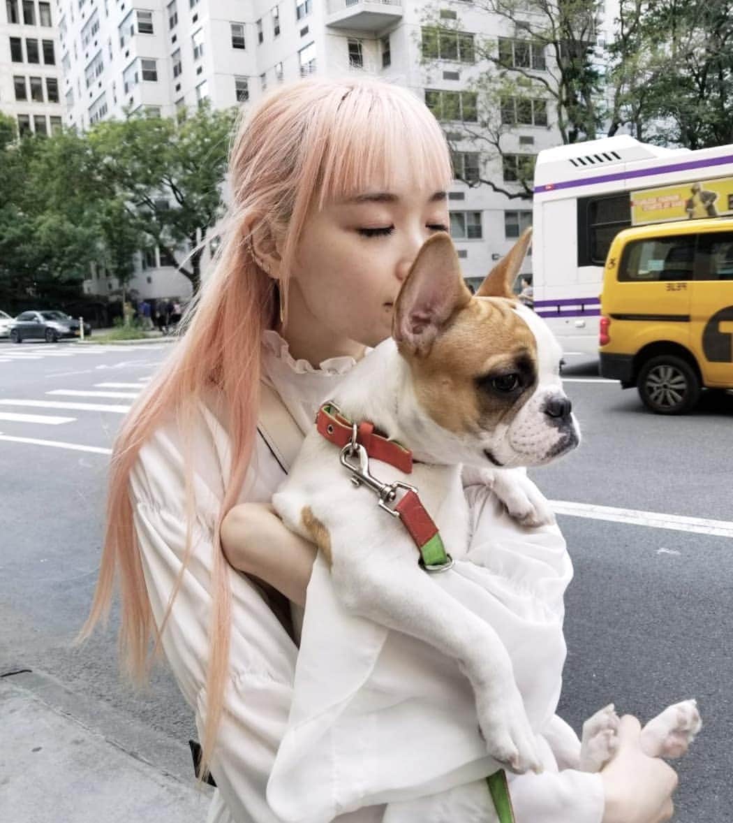フェルナンダ・リーのインスタグラム：「Oh @lady_cashew 😢」