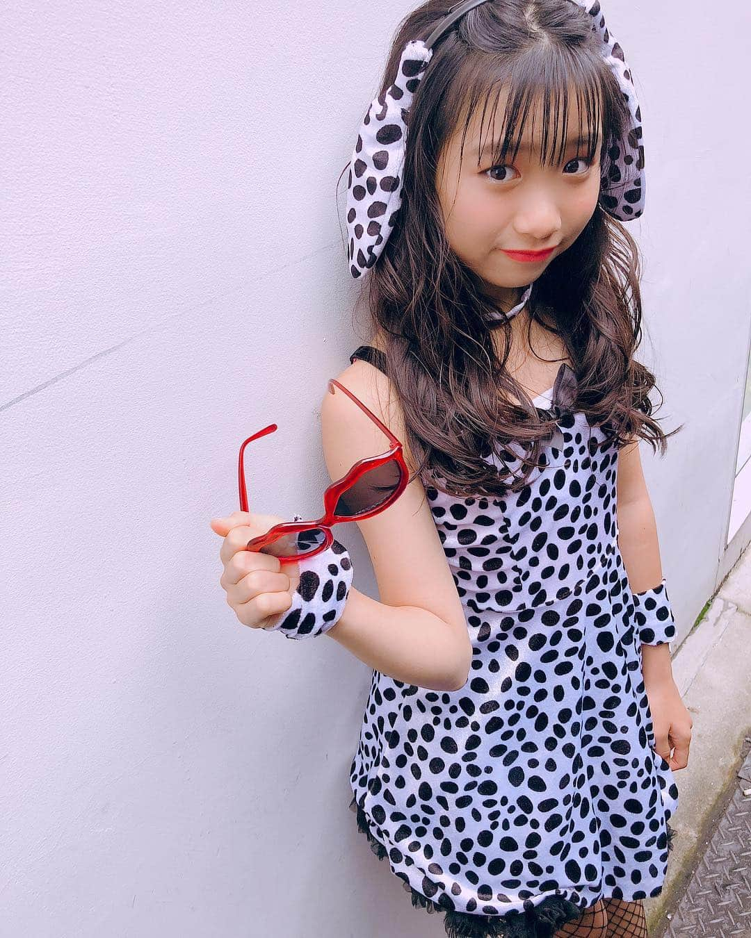 SHINOさんのインスタグラム写真 - (SHINOInstagram)「#ダルメシアン #Dalmatian #ハロウィン #101匹わんちゃん  #ここあ #寺脇心愛 #いつもと違う雰囲気 #いつもと違う表情 #でも実際は #アレルギーで鼻がかゆい #そんな顔 #撮影 #ちえたんありがとう #ママ友ヘアメイク」9月30日 9時18分 - shino0605