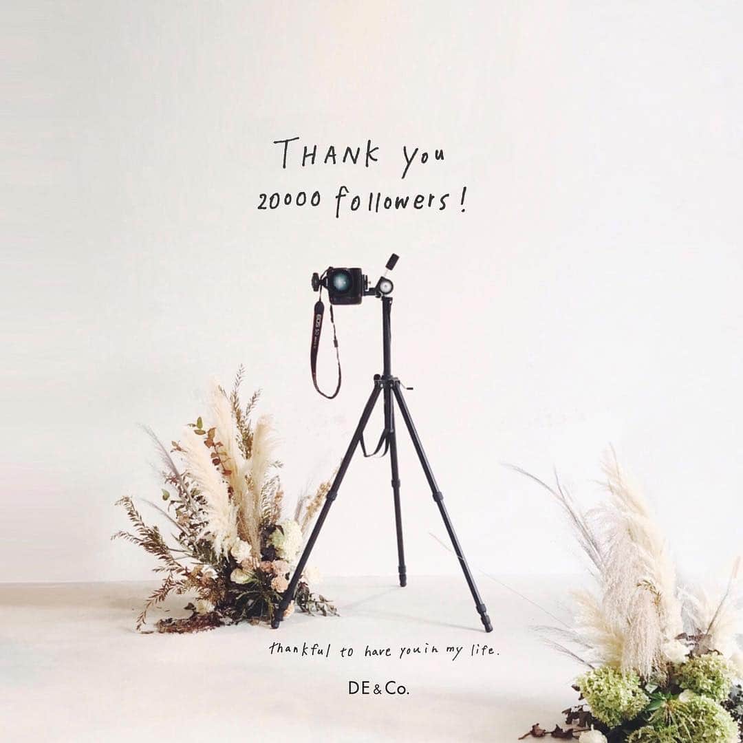 decollte_designのインスタグラム：「thank you  20000followers . . . .  #coordinate #design #designer ﻿ #dress #wedding #ヘアアレンジ﻿ #デザイン #スタジオ #ウェルカムスペース﻿ #写真好きな人と繋がりたい  #marryxoxo﻿ #ウエディングニュース #ウェディング ﻿ #結婚式準備 #花嫁  #farnyレポ ﻿ #プレ花嫁  #前撮り #フォトウェディング﻿ #着物  #ウェディングフォト ﻿ #日本中のプレ花嫁さんと繋がりたい  #2018秋婚 #ヘアスタイル #ウエディングドレス﻿ ﻿#ウェルカムボード #プロポーズ  #2018冬婚 #結婚式」