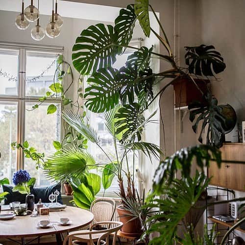 アールジーンのインスタグラム：「Interiors.」