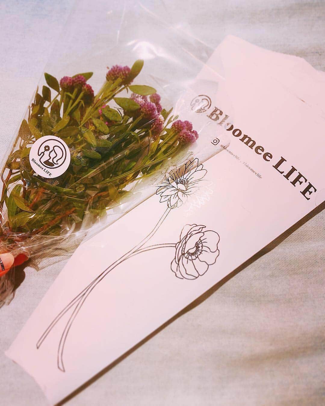 ダーブロウ有紗さんのインスタグラム写真 - (ダーブロウ有紗Instagram)「🌷Bloomee LIFE🌷 ご縁があって、ずっと気になっていた1週間に1回ポストにお花が届くサービス【Bloomee LIFE】を始める事になりました💐 どんなお花が届くかは開けるまでのお楽しみで、いつ届くかな〜♪と楽しみにしていたところ、主人がなんか届いてたよ〜📮と持ってきてくれて何だかプレゼントされた気分で満更でもないスタート✨(笑) ・ 届いたお花と調べた花言葉 🌼ヒメヒゴタイ・・・・・「あなたのために生きる」 🌼紫カーネーション・・・「誇り」「気品」 🌿ピスタチアリーフ ・ ポストに届くという事でお花潰れないのかな？とか色々心配していたんだけど、全く問題なく、延命剤まで付いていてワンコインという嬉しさでした☺️✨ お散歩ついでにお花屋さんに寄るって楽しみ方もあるけど、昨日みたいに台風前とかだと中々外に出れないし、ポストに届くのは嬉しいなぁ🎁 ・ 用意しいてた花瓶が大きすぎたから家にあった徳利を使ってみたよ🍶💜(笑) ・ 私の投稿を見てBloomee LIFEに登録して下さった方には初回無料クーポンがプレゼントされるそうです❣️ ・ *** クーポンコード：XUSGBM ※有効期限：2018年11月30日 *** これからの楽しみが増えて嬉しいっ☺️💐💕 ・ #bloomeelife  #花のある暮らし」10月1日 8時53分 - alisadurbrow