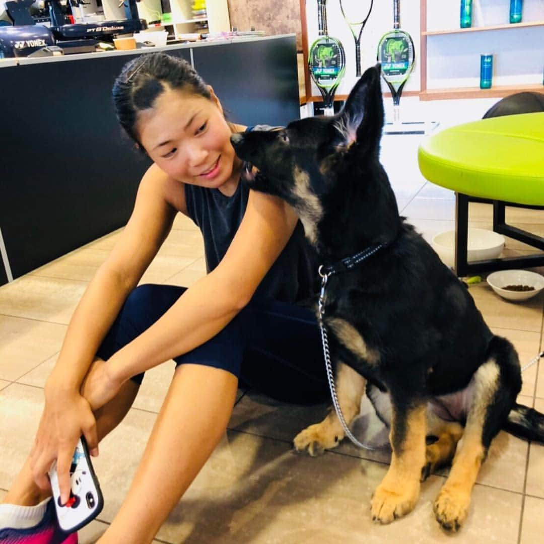 尾崎里紗さんのインスタグラム写真 - (尾崎里紗Instagram)「pretty dog😆﻿ ﻿ ﻿ ﻿﻿ ﻿﻿ #glico #powerproduction #head #teamhead #asicstennis #teamasics #imoveme #onitsukatiger #gram3 #グラムスリー #tbc_aesthetic #エステ #エステティックtbc #尾崎里紗 #tennis #tennisplayer #テニス #citizen #tiffany #4どしー #teamlab #ファッション #フィットネス #fitness #トレーニング #training #犬 #ペット #dog」10月1日 17時50分 - risaozaki410