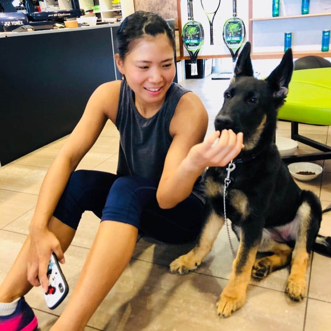 尾崎里紗さんのインスタグラム写真 - (尾崎里紗Instagram)「pretty dog😆﻿ ﻿ ﻿ ﻿﻿ ﻿﻿ #glico #powerproduction #head #teamhead #asicstennis #teamasics #imoveme #onitsukatiger #gram3 #グラムスリー #tbc_aesthetic #エステ #エステティックtbc #尾崎里紗 #tennis #tennisplayer #テニス #citizen #tiffany #4どしー #teamlab #ファッション #フィットネス #fitness #トレーニング #training #犬 #ペット #dog」10月1日 17時50分 - risaozaki410