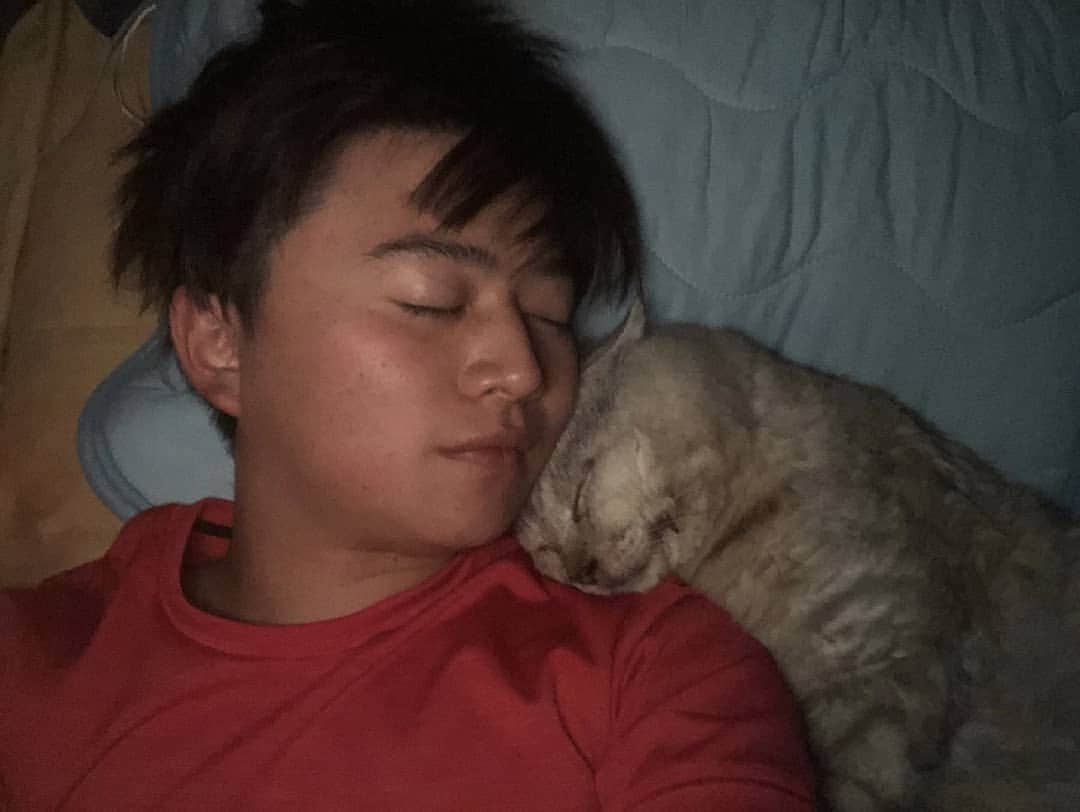 西井幸人のインスタグラム：「Goodnigh. Cat to sleep おやすみなさい猫さん　#幸人西井 #西井幸人 #nishiiyukito #yukitonishii #cat #ねこ  #cats #catsofinstagram」