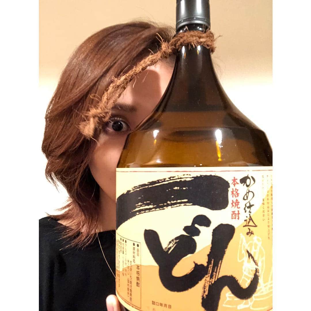 春輝のインスタグラム：「幻の焼酎「一どん(いっどん)」 大阪の焼肉屋で出会ったインパクト大なフォルムの一升瓶と、見た目とは非対称な甘味とキレに惚れました❤️ 関係ない前振りから告知です！ J:COM『ならしのTIMES』 2018年10月16日〜31日配信 ■船橋習志野エリア 月・火・金・日　18：15　/ 水・木・土　18：00　ほか ※1日3回放送 ■八千代エリア 月 18：45　/　金18：30　ほか ※1日2回放送 https://c.myjcom.jp/jch/p/narashino-times/ 今回は「まちゼミ」という事で地域密着型の講座を紹介しております👀  #JCOM#ならしのTIMES#習志野 #焼酎#芋焼酎#一どん#芋姉ちゃん #春輝#ハルキックス#haruki#harukix」