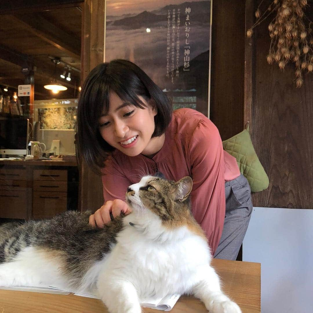 南沢奈央さんのインスタグラム写真 - (南沢奈央Instagram)「ロケ先 @kamiyamashizq で出会ったねこちゃんとの、オフショット劇場。 ＊ ねぇねぇ。 ん？？ ちゅっ… ……わっ(照)！！」10月16日 20時16分 - naominamisawa_official