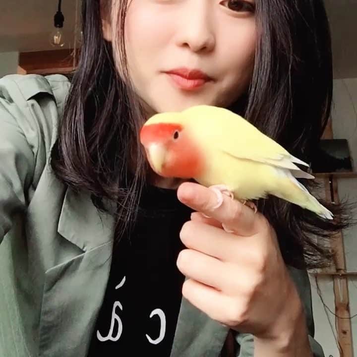 Akariのインスタグラム