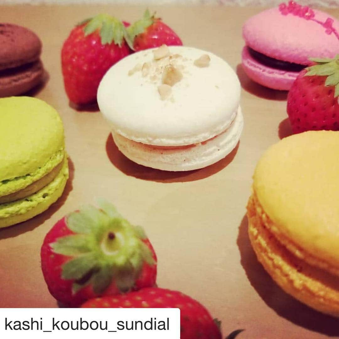 杉本怜のインスタグラム：「菓子工房 Sundial サンディアル  10/18(木) 10:00OPEN！！ 僕の兄がついに洋菓子店を開きます！！みなさんぜひご来店くださいませ！！ #Repost @kashi_koubou_sundial with @get_repost ・・・ 色トリドリのマカロン♪  チョコ(茶色) ピスタチオ(緑) ヘーゼルナッツ(白) 塩キャラメル(オレンジ色) ラズベリー(ピンク)  写真には載っていませんが、コーヒー味も取りそろえております(*^^*) 当店のマカロンは、たっぷりとクリームをサンドした濃厚な味わい♪  #マカロン #スイーツ #札幌スイーツ #スイーツ大好き #スイーツ男子 #スイーツ女子 #サンディアル  #札幌ケーキ #札幌西区 #食べるの大好き #ケーキ屋さん」